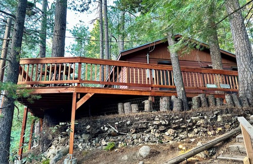 Summerhaven Cabin | Cozy Cabin in the Pines