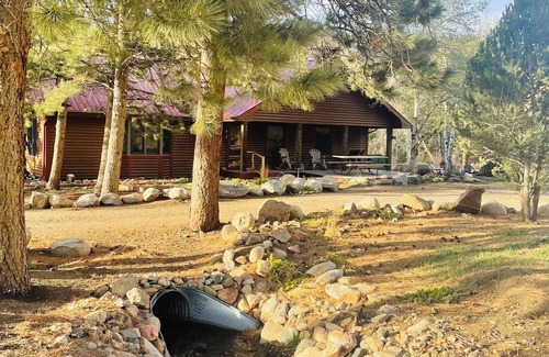 Rustic Cabin | Cozy cabin on Poudre River