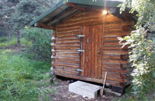 Copper Center Cabin | cozy cabin