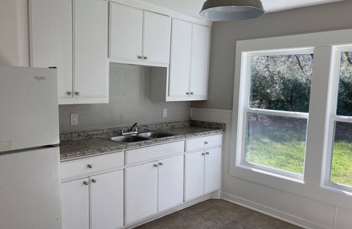 Denton House | Cozy, charming, stylish and natural wooded backyard close to UNT.