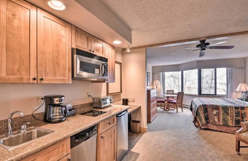 Crested Butte House | Cozy Crested Butte Studio 1 Mi to Ski Resort