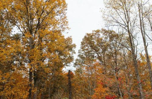 Pine Ridge House | "Cozy Dumplin" - Warm & Modern Stay in RRG/Auxier