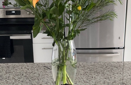 Port Wentworth Apartment | Cozy Home Away from Home 1Bd/1Ba in lovely Savannah