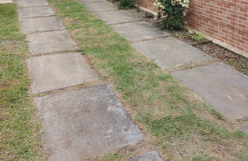 Centro House | Cozy house in Jequitiba, 50 mtrs from the beach with swimming pool!