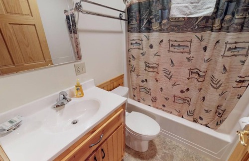 Gaines Cabin | Cozy lodge 1 bedroom and AC, WiFi Cherry Springs, PA Grand Canyon & Pinecreek