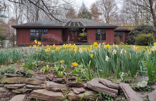 Town of Marbletown House | Cozy modern home on 14 acres of woods