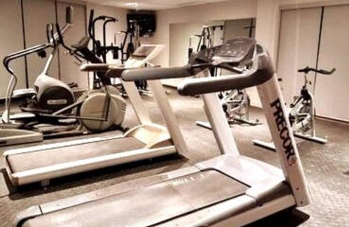 Downtown Gatineau Apartment | Cozy Spacious 1-BDR Studio #8. FREE Parking