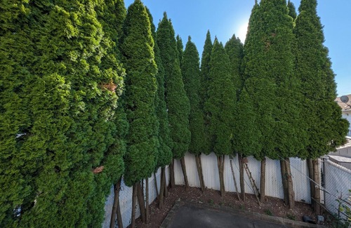 Arrochar House | Cozy Staten Island Escape: 3-Bedroom Home with Complimentary WiFi & AC