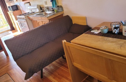 Mount Shasta Apartment | Cozy Studio, beatiful inside & out, queen size bed,Jacuzzi tub, full kitchen