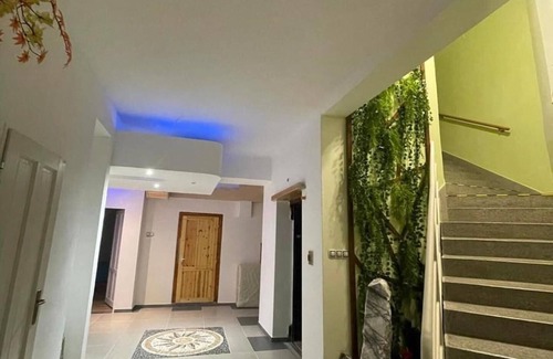 Prague 3 Apartment | Cozy Studio in Zizkov, Prague