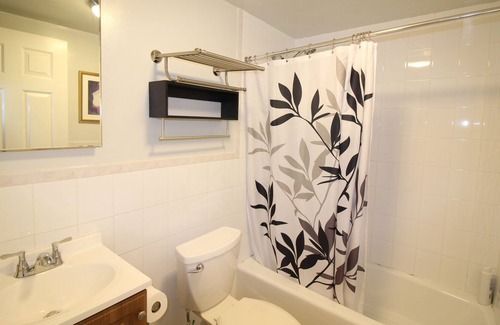 Outer Sunset Apartment | Cozy Studio Near Beach And Golden Gate Park