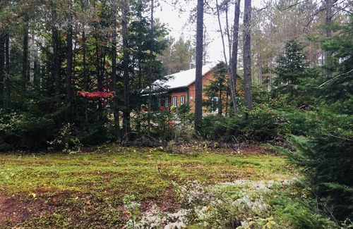 Mont-Tremblant Apartment | Cozy Suite 15 min away from Mt Tremblant. Pet Friendly