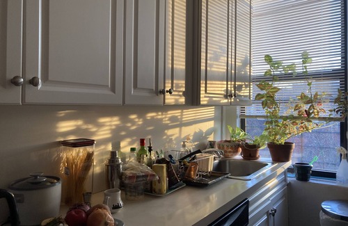 Hamilton Heights Condo | Cozy, sunny private bedroom in Harlem with views to Riverbank State Park