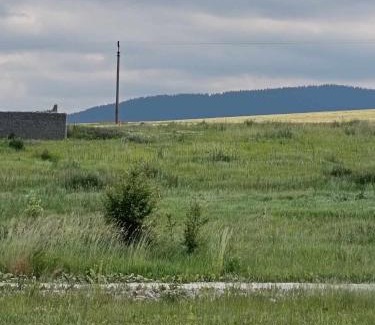 Liptovska Stiavnica Hotel | Cozy Tiny Cabin Meadow