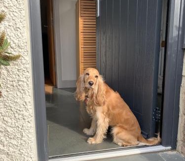 Craster House | Craster Reach