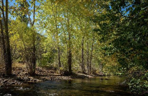 Warm Springs House | Creek Front Duplex Close to Lifts with Hot Tub