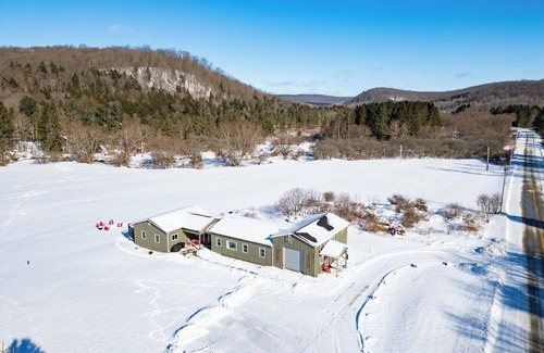 Great Valley Cabin | Creekside Ranch 9 Miles to Ellicottville w/Hot Tub
