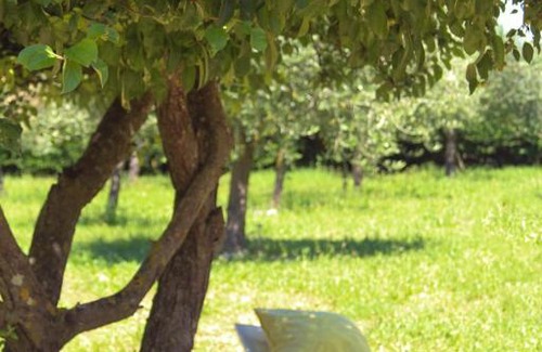 Bagard House | Croissant de Lune Studio Moon