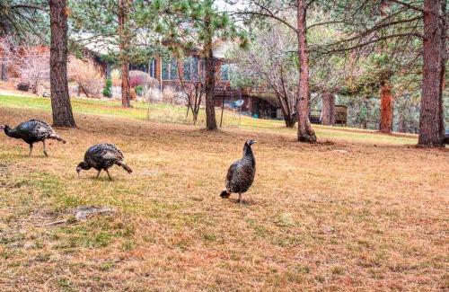 Blackhawk House | Crooked Canyon Lodge