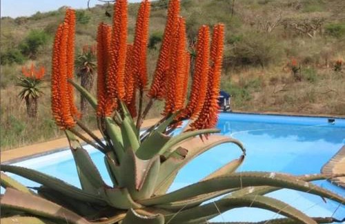 uMshwathi Apartment | Cumberland Nature Reserve