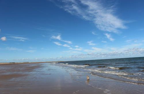 Brancaster House | Curlew
