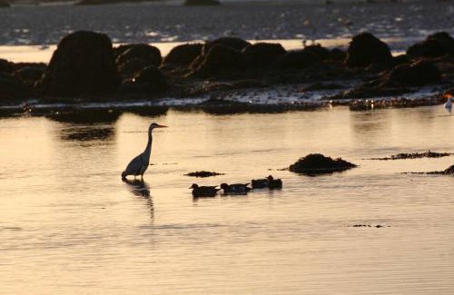 Rossaveel Apartment | Curlews Rest - Gateway to the Aran Islands