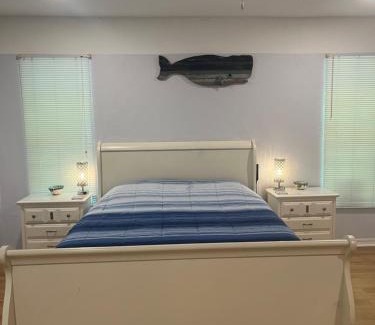 Palm Harbor House | Cute 2 bedroom home, peaceful and so central !