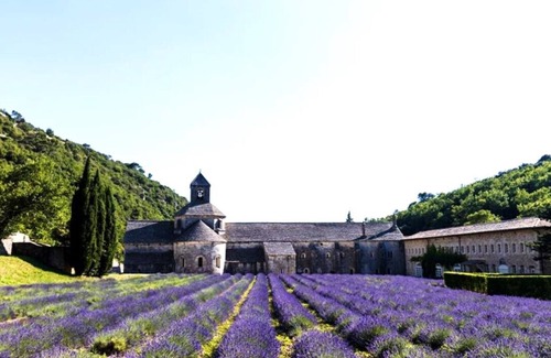 Velleron Apartment | Cute apartment with Jacuzzi and private garden