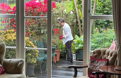 Westmere House | Cute, Cottagey and Central! Spacious, lovely indoor outdoor flow to great garden