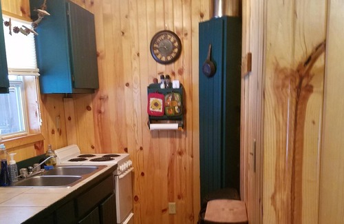 Mancelona Cottage | Cute, Quiet Cabin Getaway In The Woods! 200 FT to Snowmobile and ORV trail