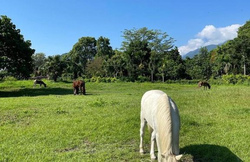 Hualien City Centre House | Cutie Home