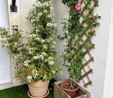 Chateaurenard House | Détours en Provence - Lavande 3*