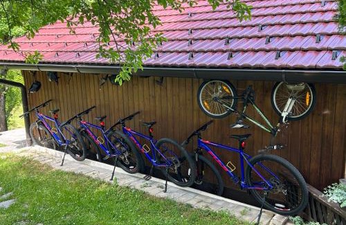 Seliste Dreznicko House | D.I.M. Holiday House