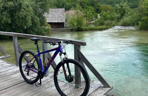 Seliste Dreznicko House | D.I.M. Holiday House