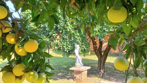 Scafati Apartment | Da Ninnilla Holiday Home Scafati