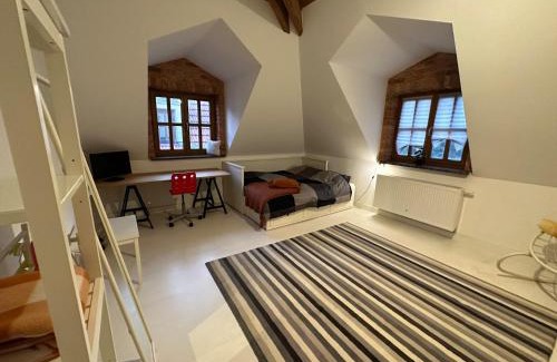 Rzeszow Villa | Dako Mansion, Stylish, Modern, Cosy