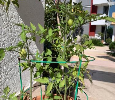 Playas de Tijuana Apartment | Dali Suites Hotel