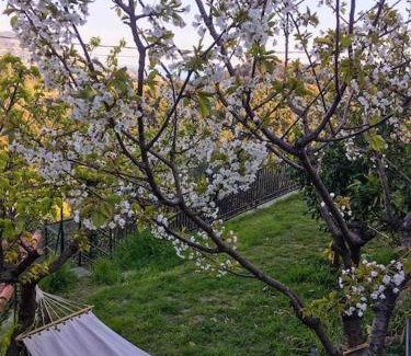 Pitelli Apartment | Dalla Isi il giardino sul golfo