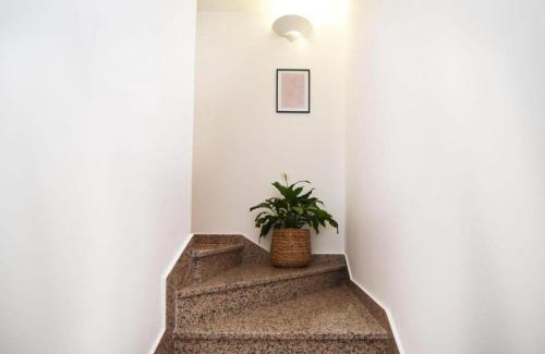 Zaton Apartment | Dalmatian stone cottage