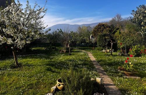 Sequals Apartment | Davor La Glesia