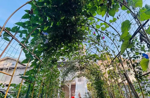 Langdon Apartment | DC Garden Stay: Apartment + ArtStudio + Parking