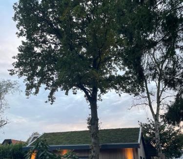 Heerenveen House | De Eikenloft