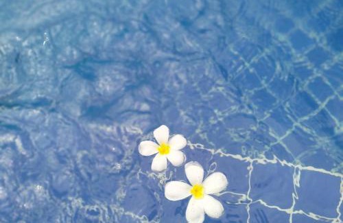 Thep Kasattri Villa | De palm poolvilla by KC