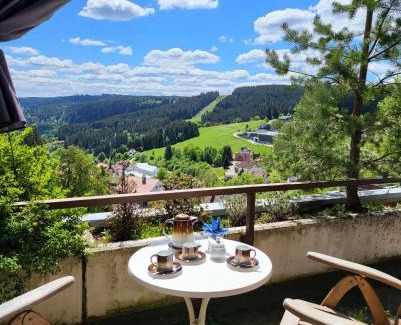 Schonach im Schwarzwald Apartment | Deck-Apartment next to the forest, free parking