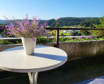 Schonach im Schwarzwald Apartment | Deck-Apartment next to the forest, free parking