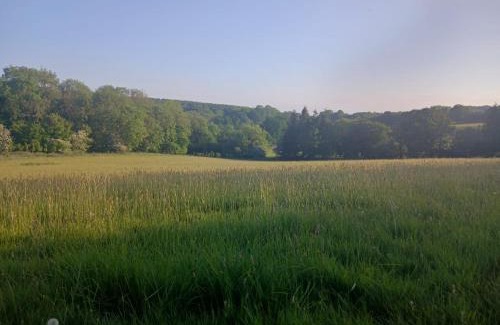 Hockworthy Other | Deer Barn Retreats