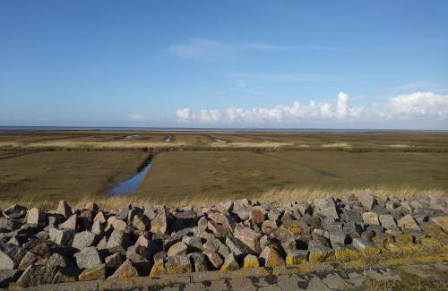 Friedrichskoog-Spitze Apartment | Deichblick