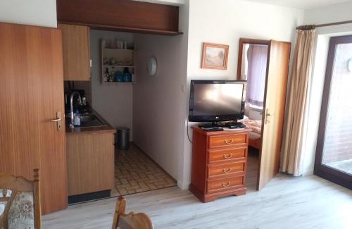 Friedrichskoog-Spitze Apartment | Deichblick