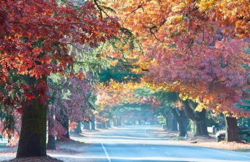 Bright Villa | DELANY VILLAS BRIGHT - Spa luxury on Delany Avenue