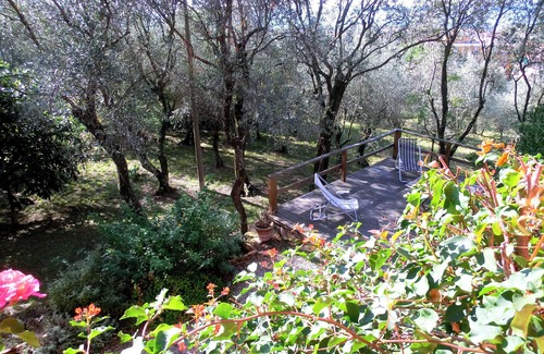 Chiavari Villa | Delightful 4-bedroom villa in private olive grove with WiFi in Chiavari